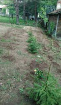 Продава  Парцел област София , в.з.Ярема , 1276 кв.м | 68331458 - изображение [3]