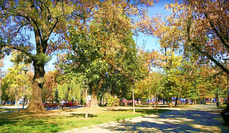 Продава 3-СТАЕН, гр. София, Сухата река, снимка 15 - Апартаменти - 53370144