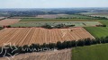 Продава ПАРЦЕЛ, с. Крушари, област Добрич, снимка 3