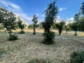 Продава 3-СТАЕН, град София, Люлин 4 • 155000 € / 303153.65 лв. • 36624878 12