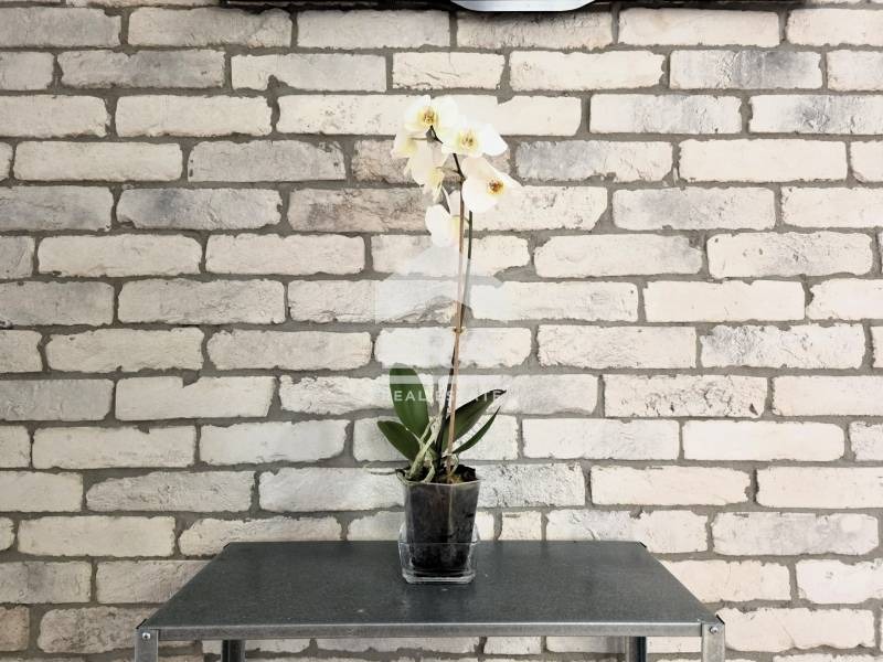 ������� 2-����� | Imot.bg � ����������� 14