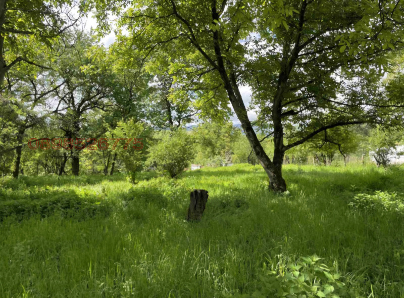 Продава  Къща област Ловеч , с. Старо село , 124 кв.м | 75463246 - изображение [8]
