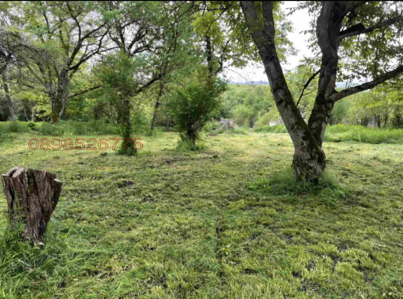 Продава  Къща област Ловеч , с. Старо село , 124 кв.м | 75463246 - изображение [7]