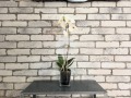 Продава  2-стаен град София , Яворов , 59 кв.м | 59956058 - изображение [14]
