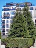 Продава 3-СТАЕН, град София, Полигона • 385737 € / 754436.00 лв. • 74061008 2
