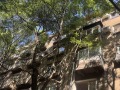 Продава 3-СТАЕН, град София, Център • 365500 € • 47195024 — Holmes.bg