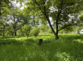 Продава КЪЩА, област Ловеч, с. Старо село • 24000 € • 30932605 — Holmes.bg