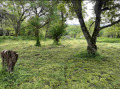 Продава КЪЩА, област Ловеч, с. Старо село • 24000 € • 30932605 — Holmes.bg