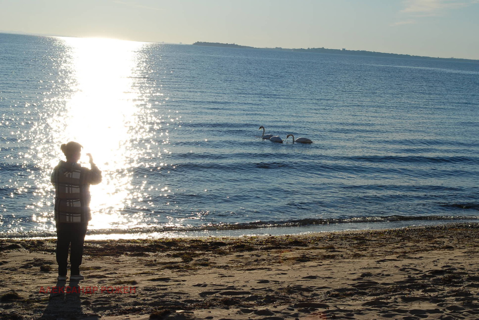 Продава 3-СТАЕН | Imot.bg — изображение 15