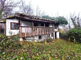 ����� ������� ����,�. ���� ����, ������ �����