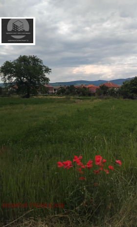 Complot Crainiți, regiunea Kyustendil