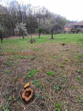 ������� ������ | Imot.bg � ����� ������ 2