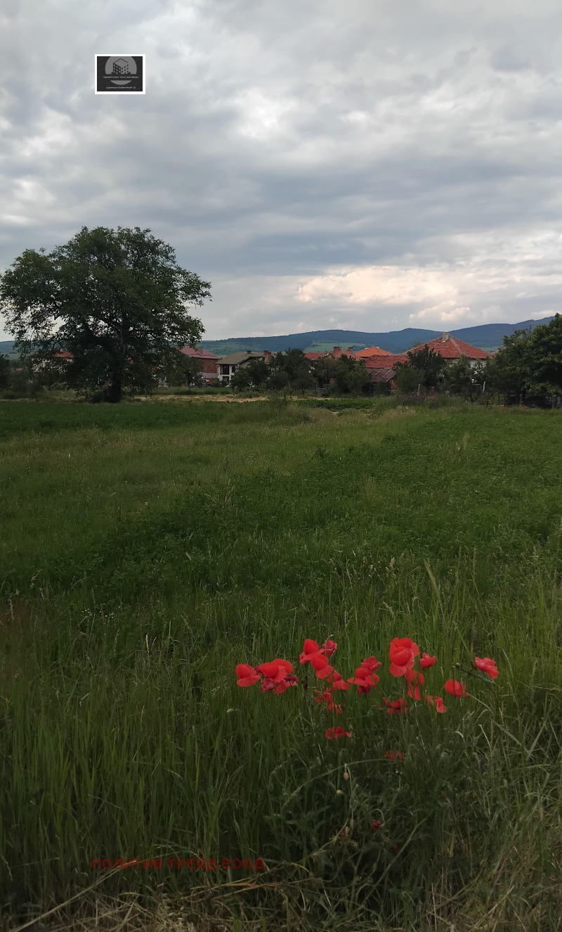 De vânzare  Complot regiunea Kyustendil , Crainiți , 1940 mp | 44834741