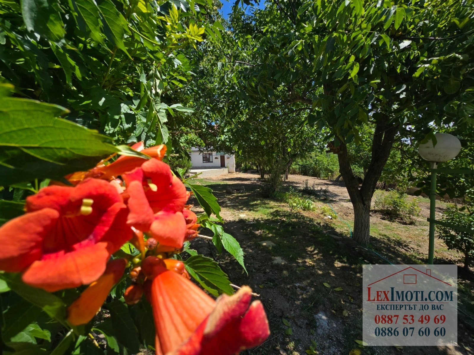Продава КЪЩА, с. Брестовица, област Русе, снимка 2 - Къщи - 51839755