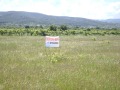 Продава ПАРЦЕЛ, с. Марково, област Пловдив, снимка 1