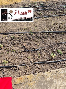 ������� ���� | Imot.bg � ����� ������ 13