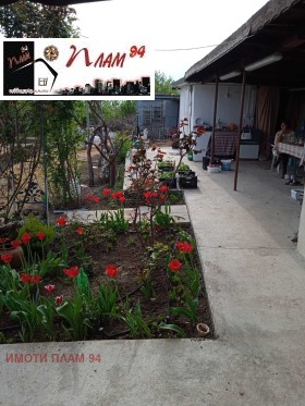 ������ ������� ����