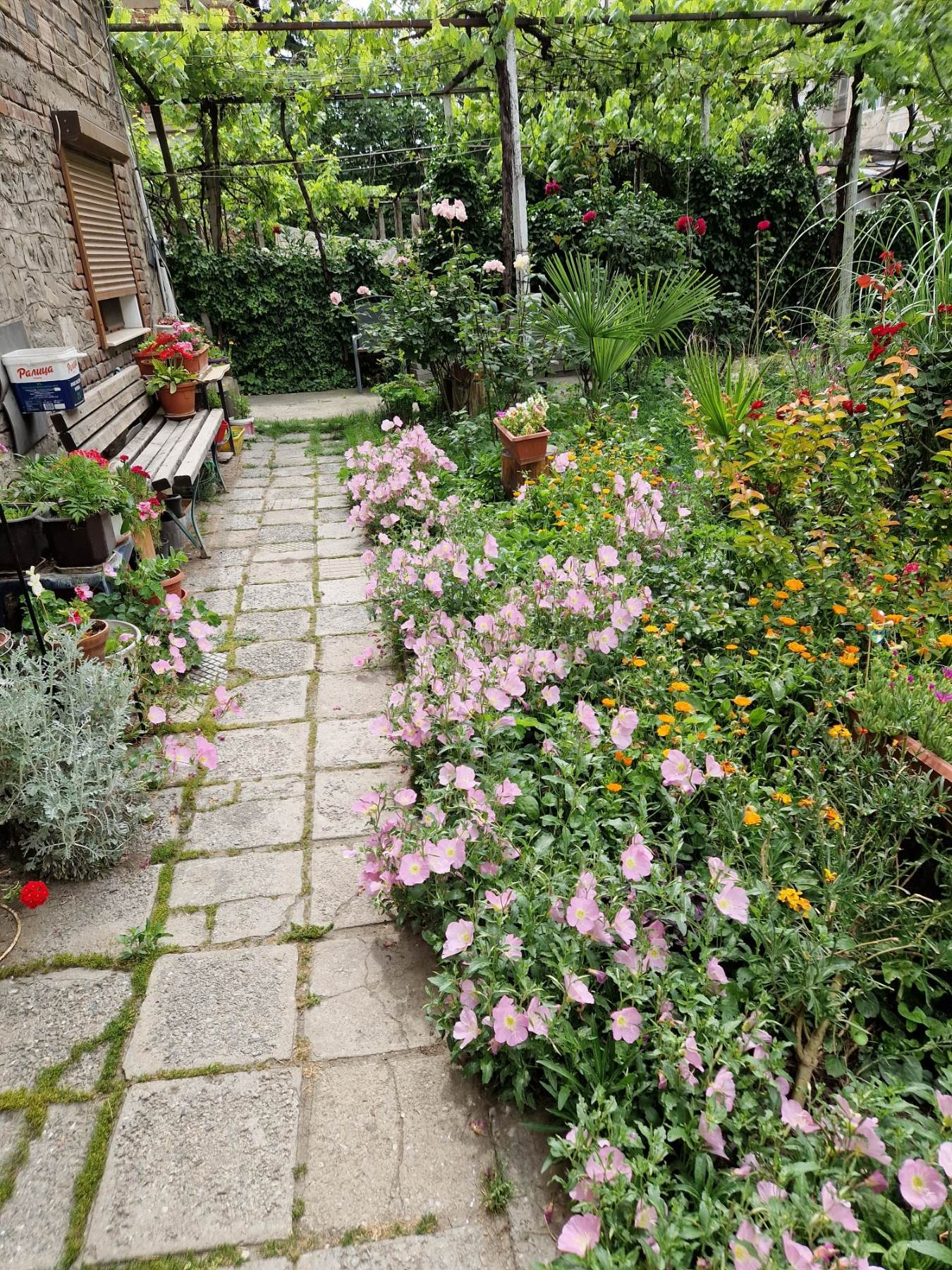 Продава МНОГОСТАЕН, гр. Пловдив, Въстанически, снимка 6 - Апартаменти - 52141990