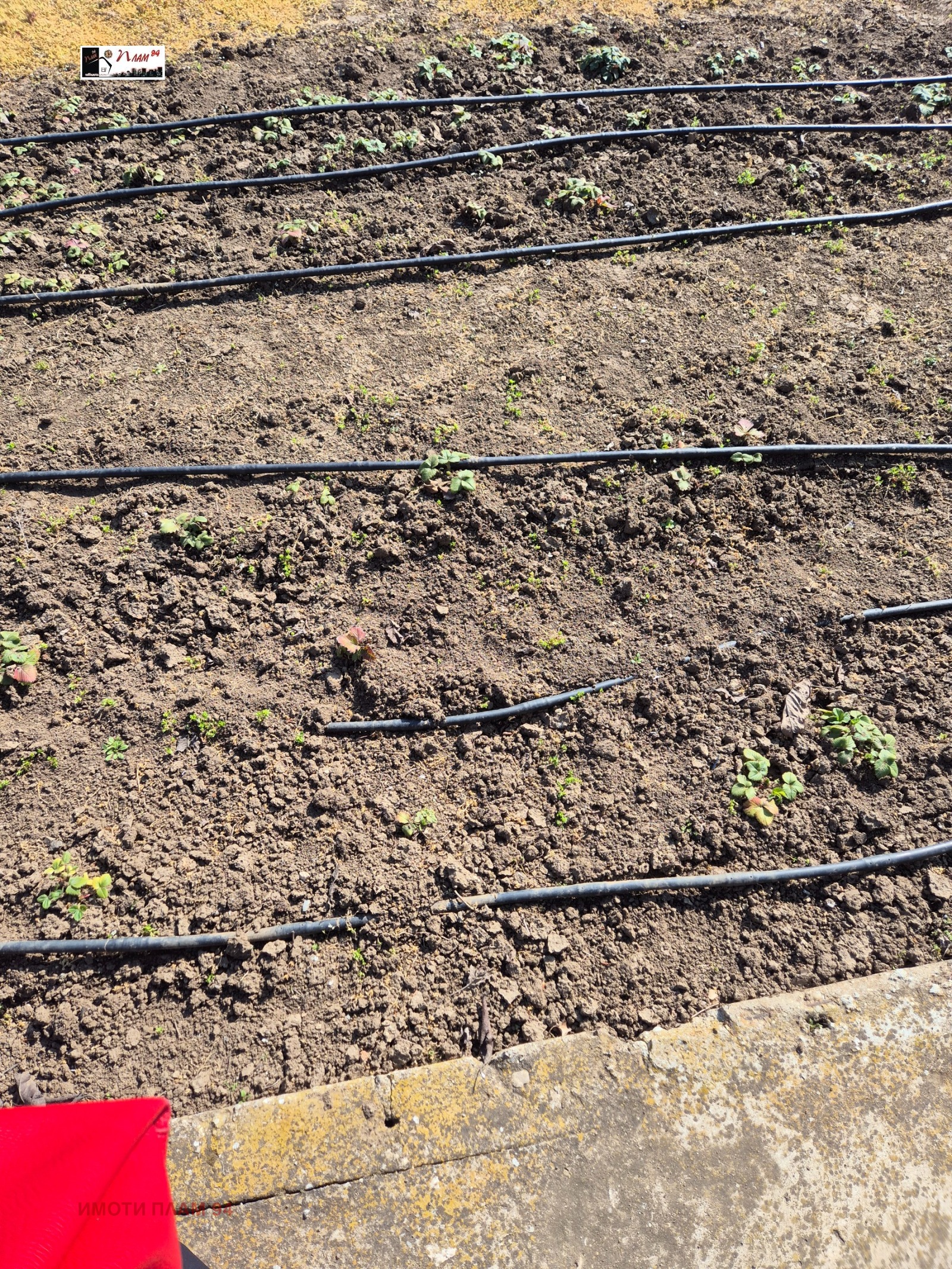 Продава КЪЩА, с. Тюленово, област Добрич, снимка 12 - Къщи - 54038588