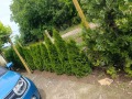 Продава КЪЩА, с. Тюленово, област Добрич, снимка 14