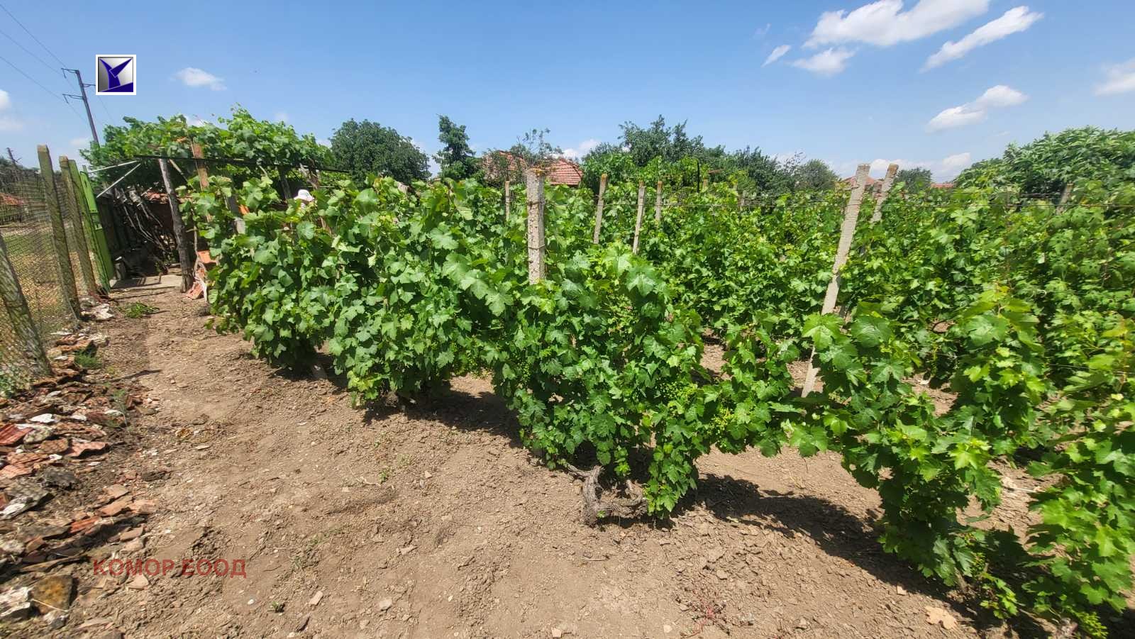 Продава ПАРЦЕЛ | Imot.bg — изображение 7