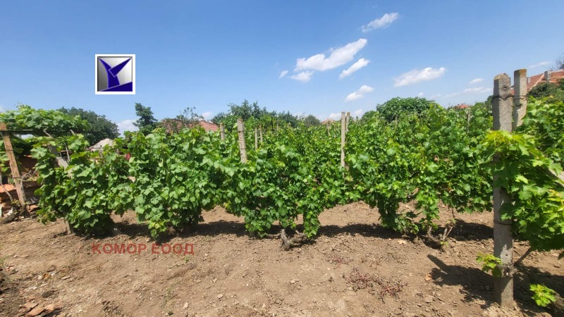 For Sale  Plot region Ruse , Borisovo , 1600 sq.m | 70975654 - image [8]