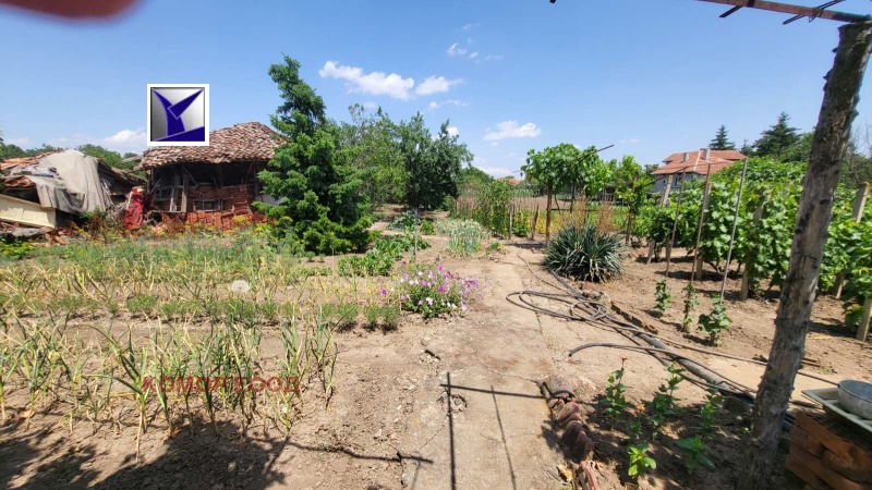 For Sale  Plot region Ruse , Borisovo , 1600 sq.m | 70975654 - image [5]