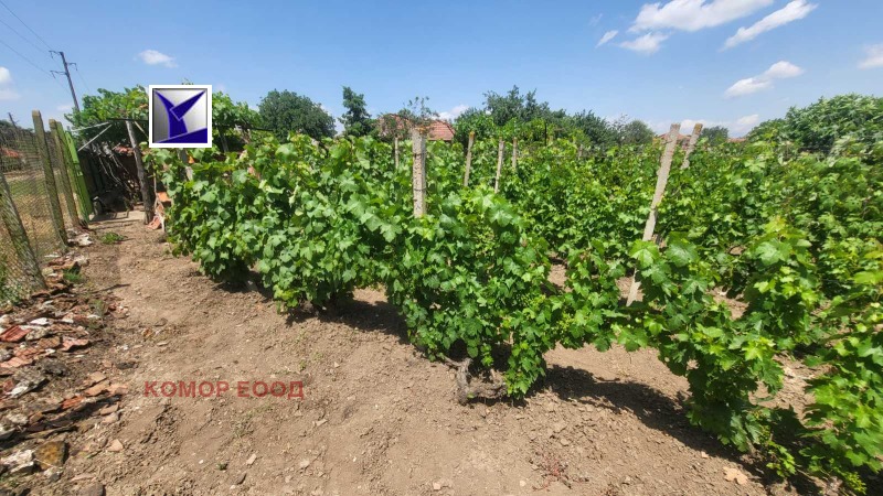 For Sale  Plot region Ruse , Borisovo , 1600 sq.m | 70975654 - image [2]