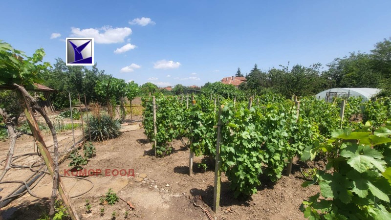 For Sale  Plot region Ruse , Borisovo , 1600 sq.m | 70975654 - image [4]