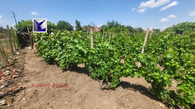 For Sale  Plot region Ruse , Borisovo , 1600 sq.m | 70975654 - image [7]