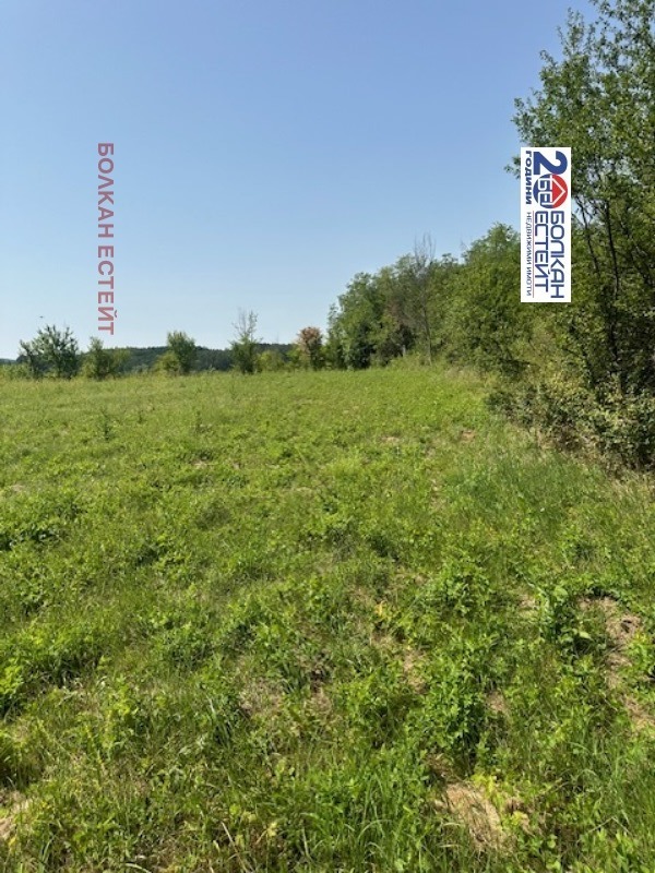 For Sale  Plot region Veliko Tarnovo , Velchevo , 2300 sq.m | 82106168