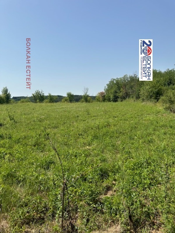 For Sale  Plot region Veliko Tarnovo , Velchevo , 2300 sq.m | 82106168 - image [5]