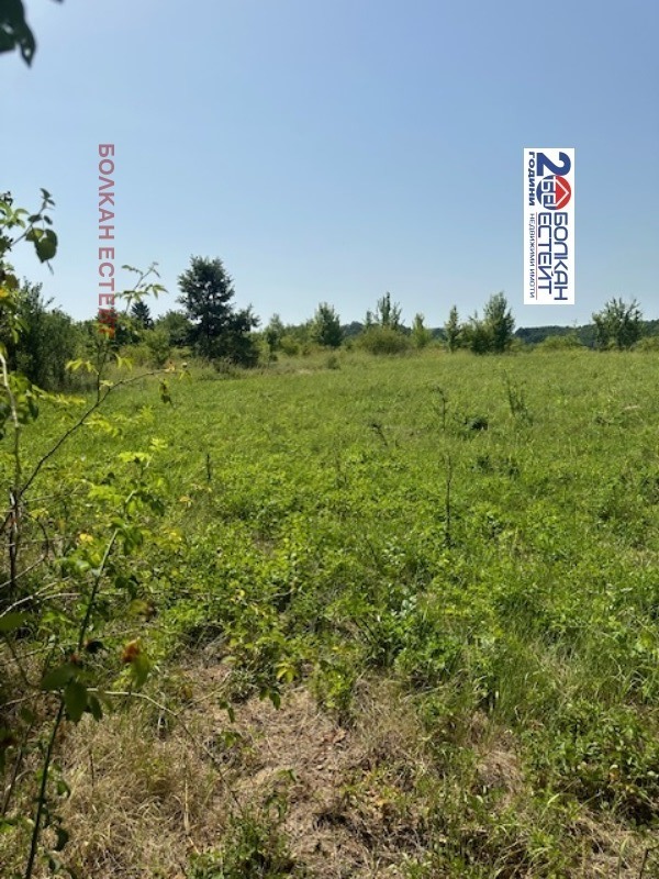 For Sale  Plot region Veliko Tarnovo , Velchevo , 2300 sq.m | 82106168 - image [4]