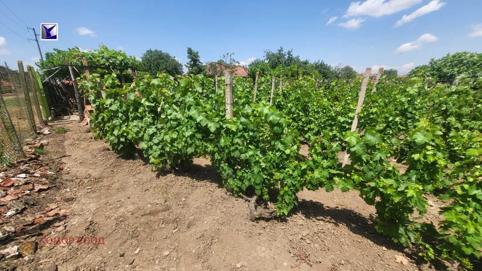 Продава ПАРЦЕЛ, с. Борисово, област Русе, снимка 2 - Парцели - 46200831