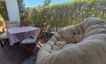 Продава 2-СТАЕН, област Бургас, с. Кошарица • 70000 € • 11983431 — Holmes.bg