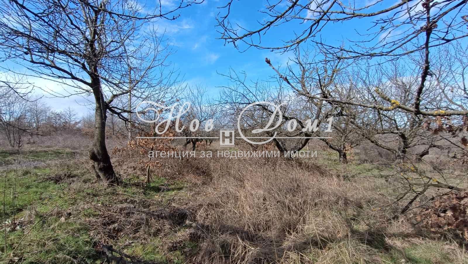 ������� ������ | Imot.bg � ����������� 1