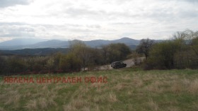 ����� ������� ������,���� �����, ��. �����