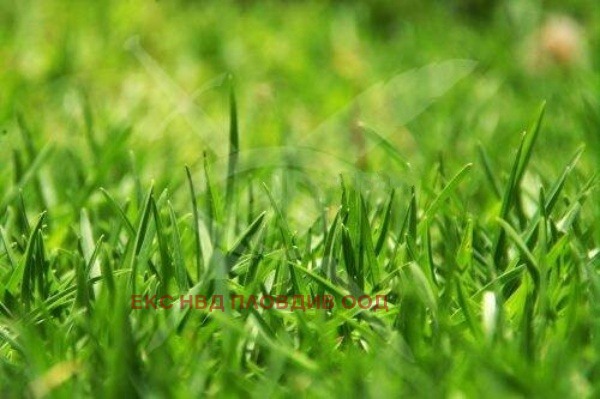 Продава ПАРЦЕЛ, с. Цалапица, област Пловдив