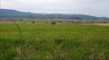 Продава ПАРЦЕЛ, с. Алино, област София област, снимка 1