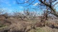 Продава ПАРЦЕЛ, с. Приселци, област Варна, снимка 2