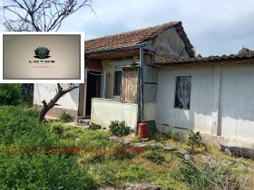 ������ ������� ����