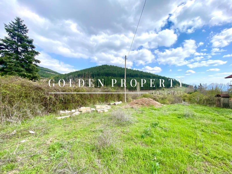 Продава КЪЩА, гр. София, с. Желява, снимка 3 - Къщи - 53514672