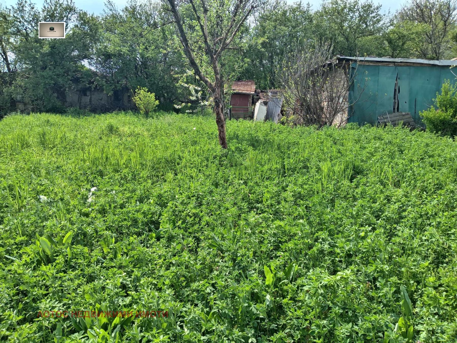 Продава КЪЩА, гр. Долна Оряховица, област Велико Търново, снимка 15 - Къщи - 54266686