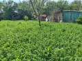Продава  Къща област Велико Търново , гр. Долна Оряховица , 40 кв.м | 32984900 - изображение [15]