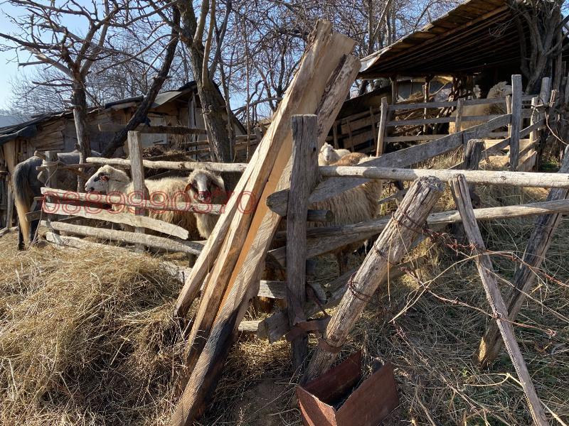 Продава КЪЩА, гр. Тетевен, област Ловеч, снимка 8 - Къщи - 53726427