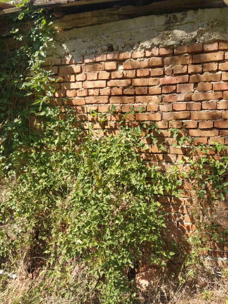 Продава КЪЩА, с. Тишаново, област Кюстендил, снимка 4 - Къщи - 52784921