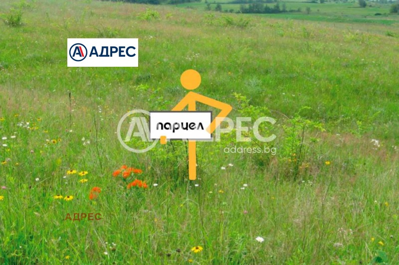 For Sale  Plot region Dobrich , Rogachevo , 7800 sq.m | 44764956