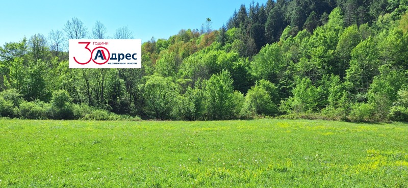 Продаја  Плот регион Велико Тарново , Елена , 8000 м2 | 91736443 - слика [4]
