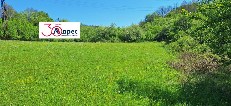 Продаја  Плот регион Велико Тарново , Елена , 8000 м2 | 91736443 - слика [6]