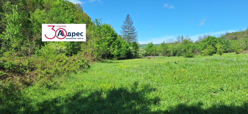 Продаја  Плот регион Велико Тарново , Елена , 8000 м2 | 91736443 - слика [5]